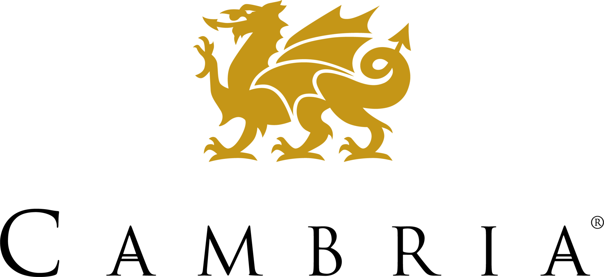 cambria-seeklogo